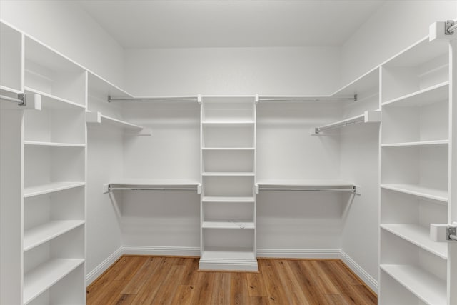 spacious closet featuring light wood-type flooring