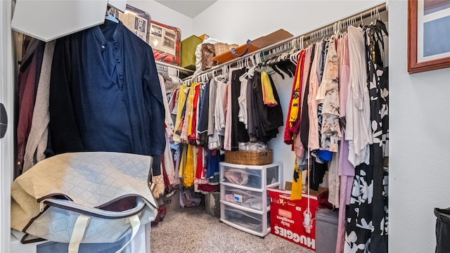 spacious closet featuring carpet floors