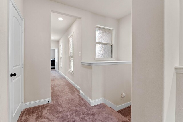 sitting room featuring carpet floors