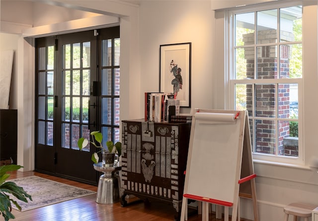 entryway with hardwood / wood-style flooring and plenty of natural light