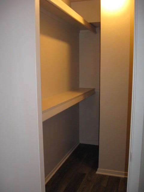 walk in closet with dark wood-type flooring