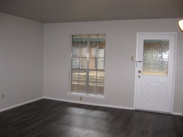 foyer entrance featuring dark wood-type flooring and a healthy amount of sunlight