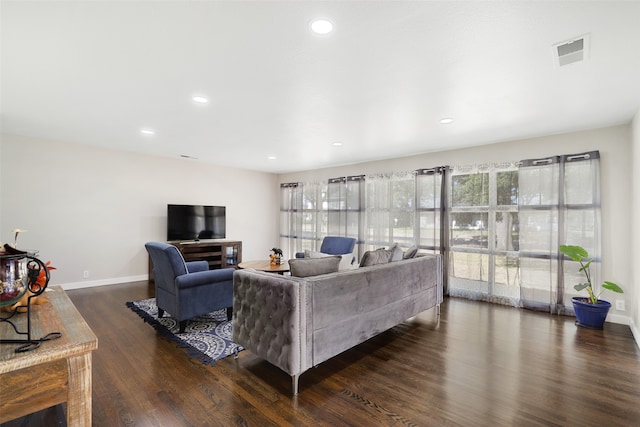 living room featuring dark wood-type flooring