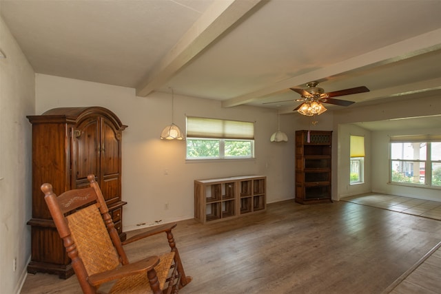 living area with wood-type flooring, beamed ceiling, plenty of natural light, and ceiling fan