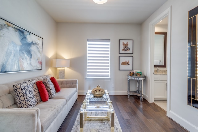 living room with sink and dark hardwood / wood-style flooring