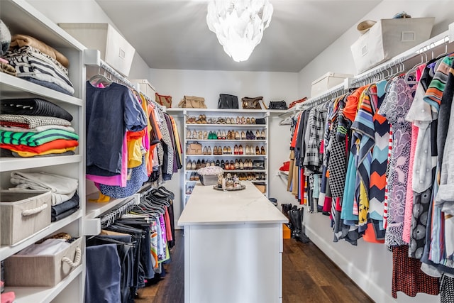 spacious closet featuring dark hardwood / wood-style flooring