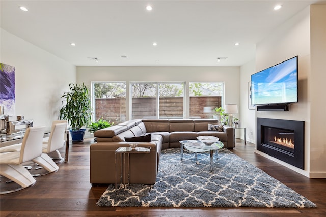 living room featuring dark hardwood / wood-style flooring