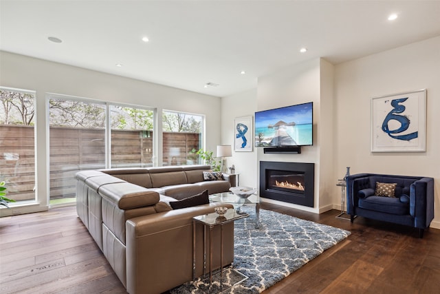 living room with hardwood / wood-style floors