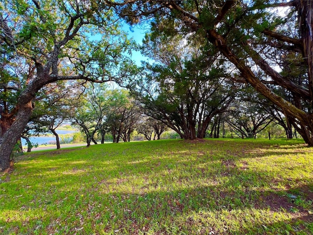 view of yard featuring a water view