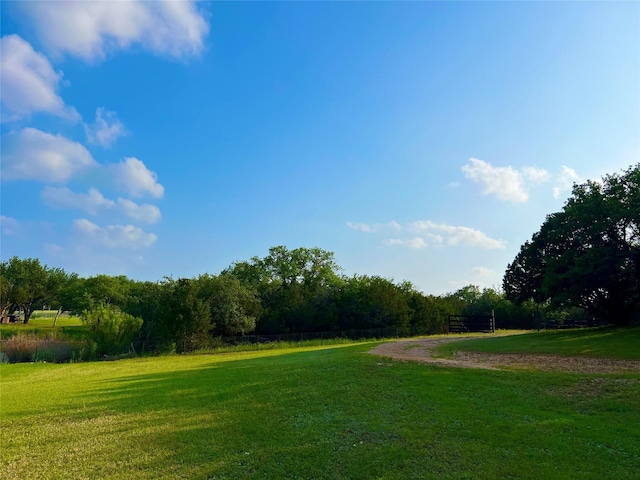 view of property's community featuring a yard