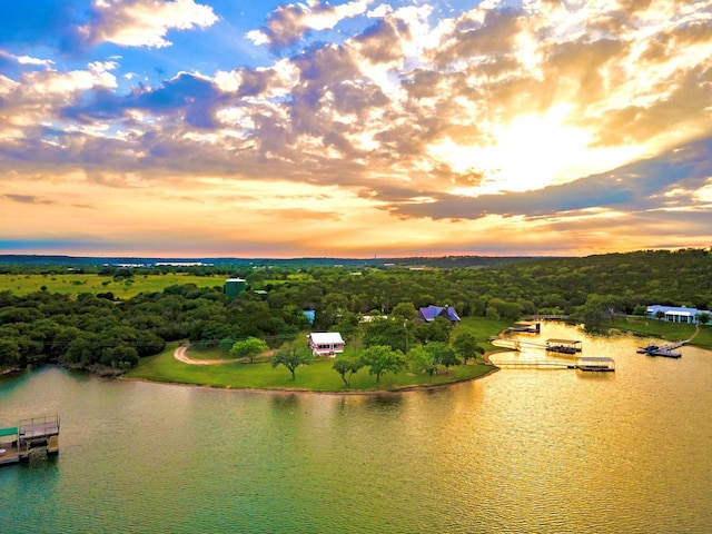 drone / aerial view featuring a water view and a view of trees