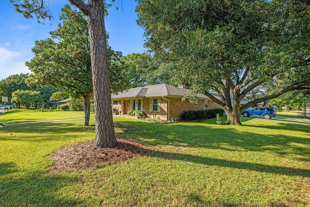 ranch-style home with a front yard