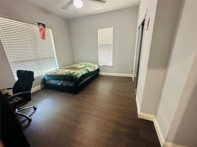 bedroom with ceiling fan, dark hardwood / wood-style floors, and multiple windows