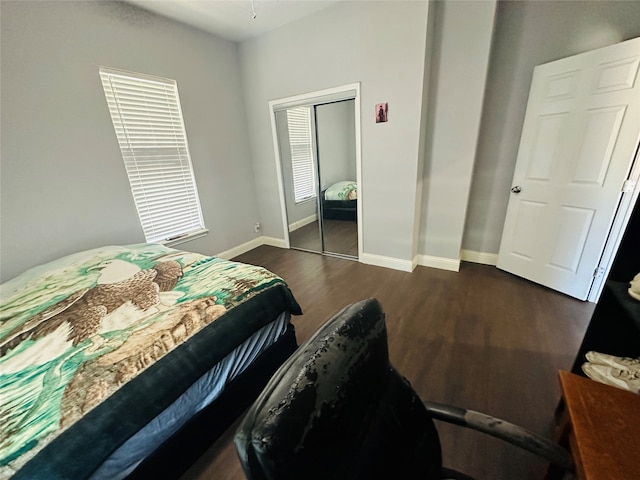 bedroom with a closet and dark hardwood / wood-style floors