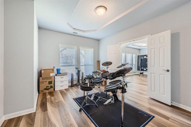 workout room with light hardwood / wood-style flooring and a healthy amount of sunlight