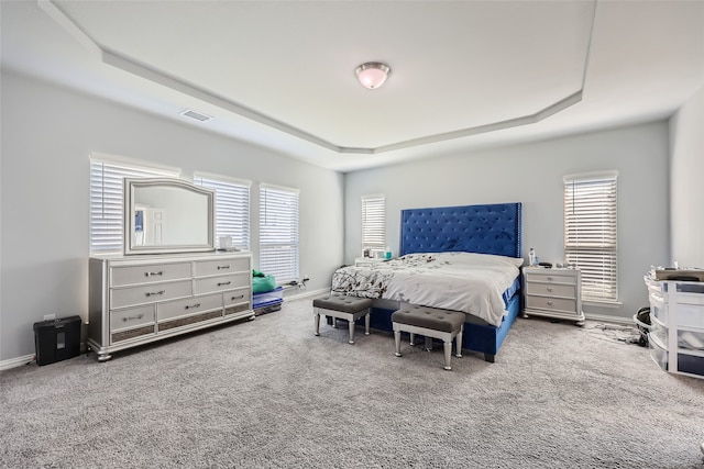 bedroom featuring a raised ceiling and carpet flooring