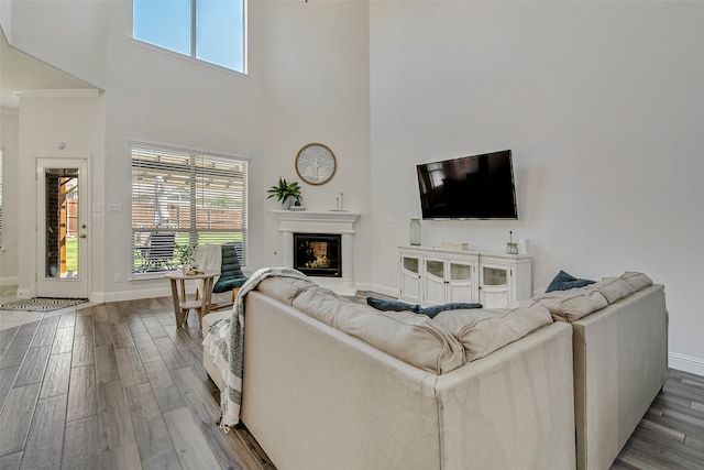 living room featuring a towering ceiling and hardwood / wood-style flooring