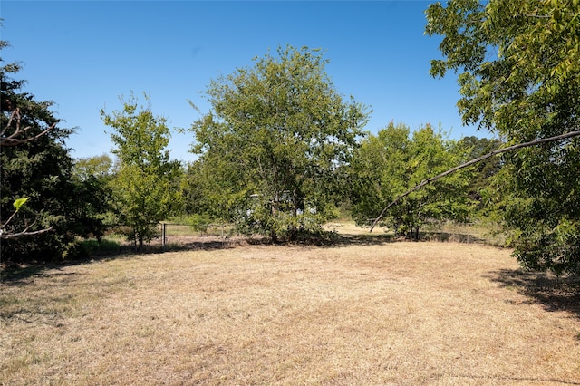 view of yard with a rural view