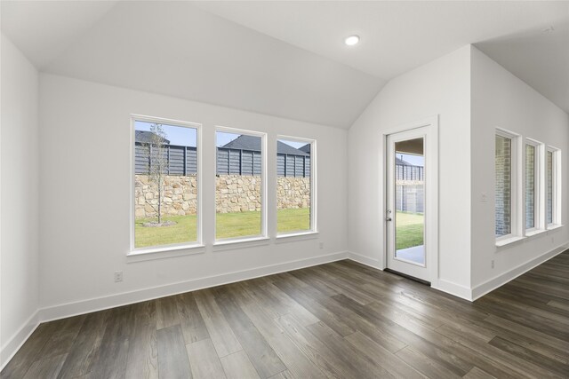 interior space featuring lofted ceiling, dark hardwood / wood-style floors, and a wealth of natural light