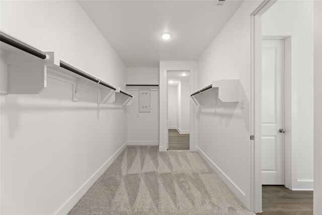 spacious closet with light colored carpet