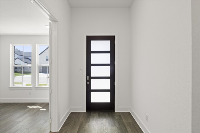 entryway featuring dark wood-type flooring