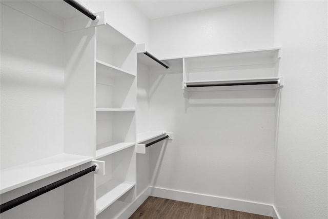 walk in closet with dark wood-type flooring