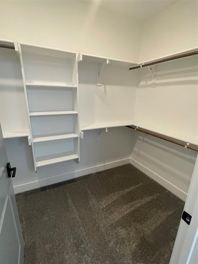 spacious closet with dark carpet