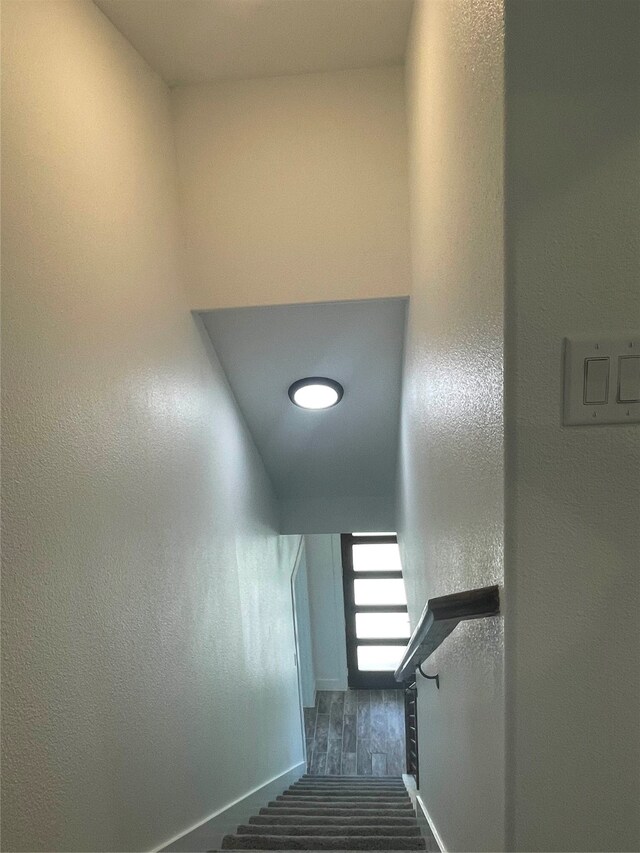 stairway with hardwood / wood-style flooring