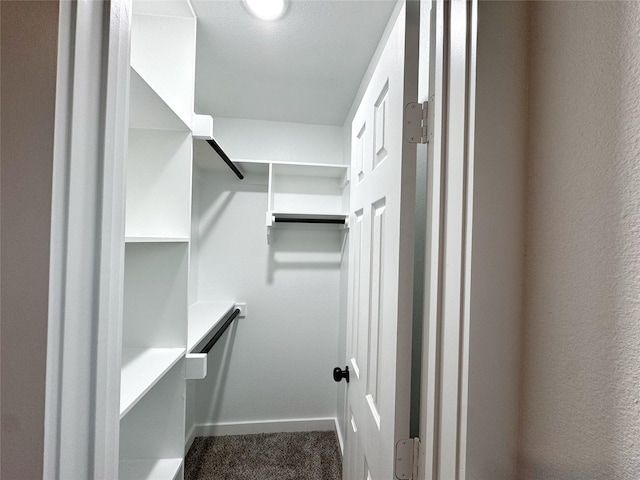 walk in closet featuring carpet