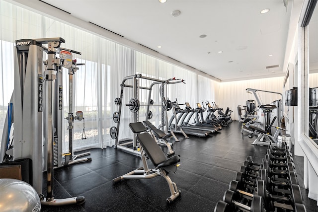 exercise room with a healthy amount of sunlight