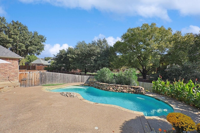 view of pool featuring a patio, a fenced backyard, and a fenced in pool