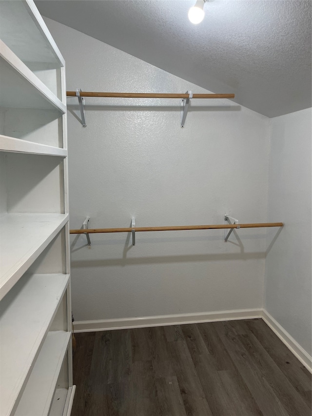 spacious closet with dark wood-type flooring