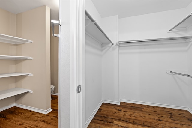 walk in closet with dark hardwood / wood-style floors