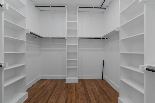 walk in closet with dark hardwood / wood-style floors