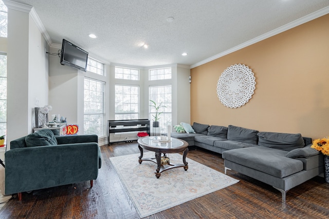 living room with crown molding, dark wood-type flooring, and a textured ceiling