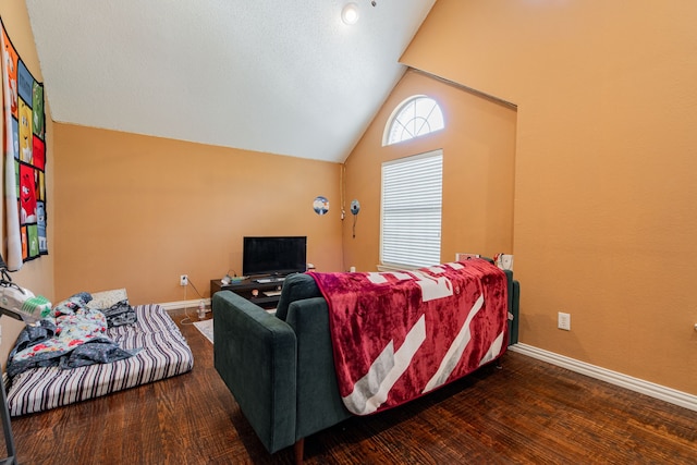 living room with lofted ceiling and dark hardwood / wood-style floors