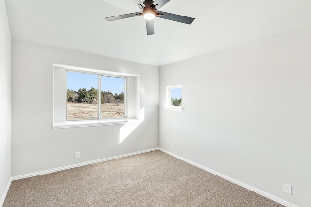 spare room with ceiling fan and carpet floors