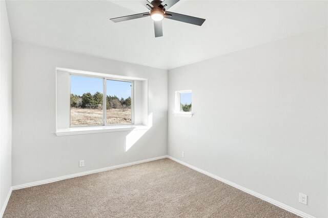 spare room with ceiling fan and carpet floors