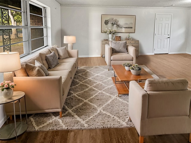 living room featuring hardwood / wood-style flooring and a textured ceiling