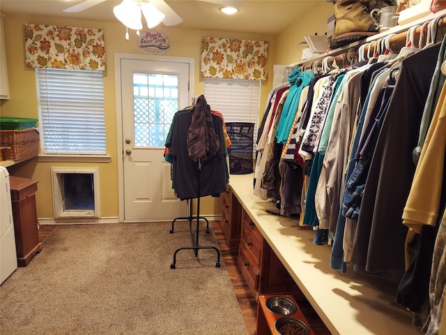 spacious closet with carpet and ceiling fan