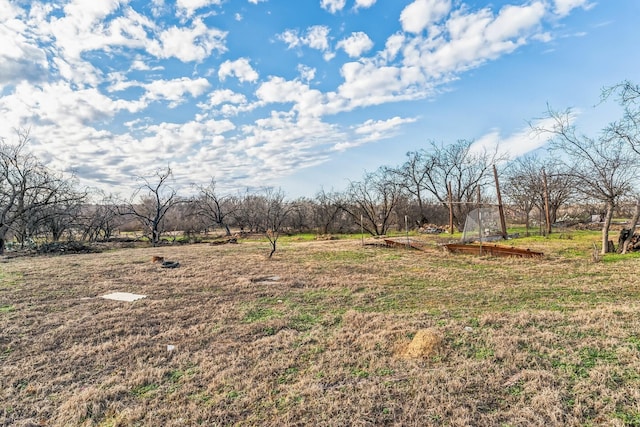 9009 Hwy 6, Cisco TX, 76437 land for sale