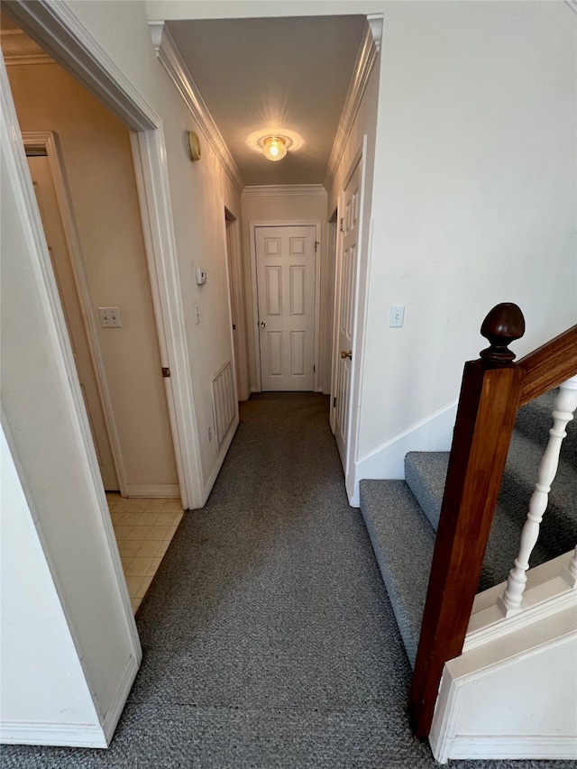 hall with ornamental molding and carpet