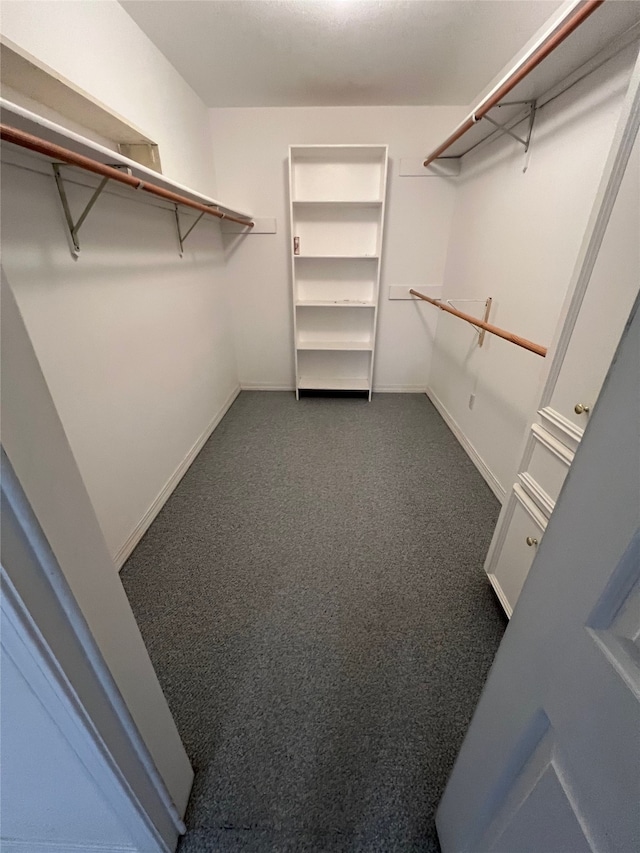 spacious closet featuring carpet floors