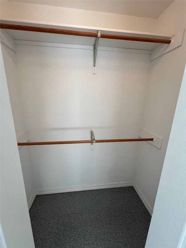 walk in closet featuring carpet floors