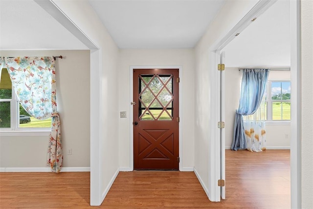 entryway featuring light wood-type flooring and a wealth of natural light