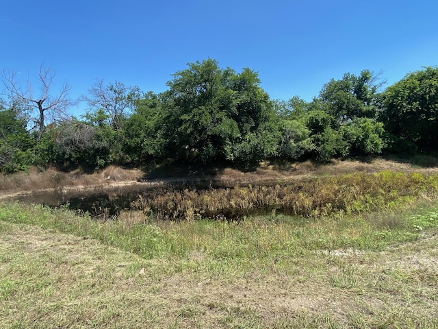 view of local wilderness