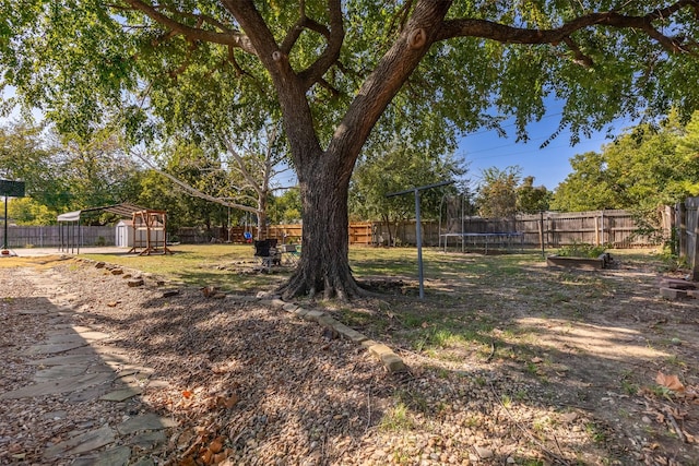 view of yard featuring a trampoline