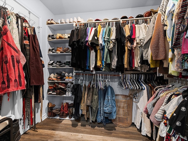 spacious closet featuring hardwood / wood-style flooring