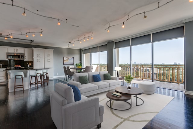 living room featuring dark hardwood / wood-style floors