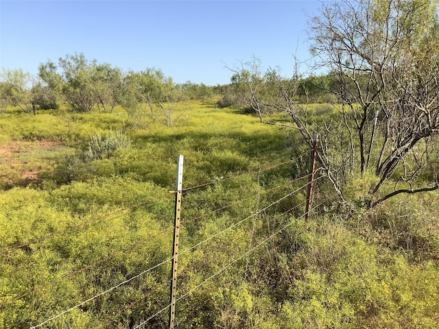 Listing photo 2 for TBD Fm 569, Cisco TX 76437